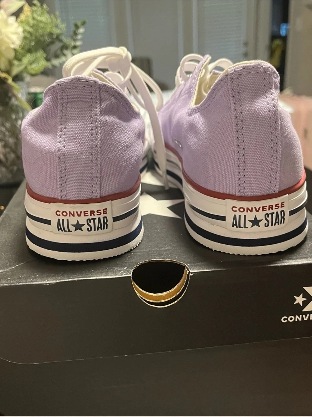 Converse Kids Lavender Low Top Sneakers with White Laces